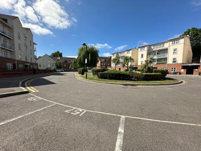 Picture 13